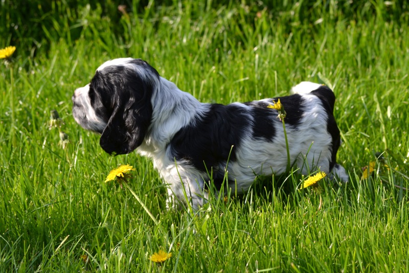 Vrh H a CH 04-Haidi.JPG